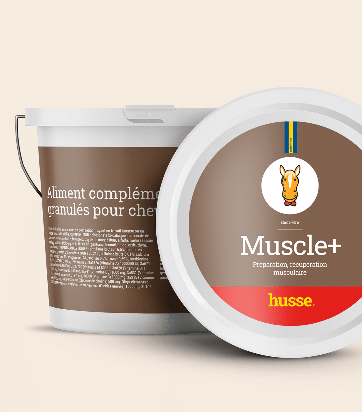Développement musculaire du cheval | Muscle Plus