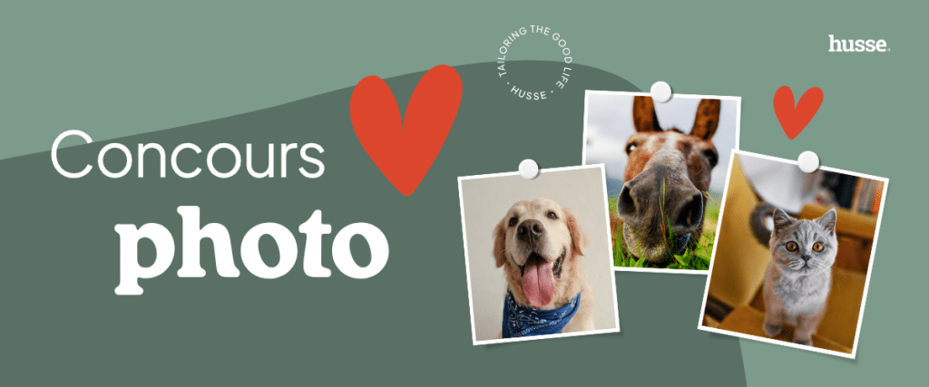 Annonce concours photo avec animaux.