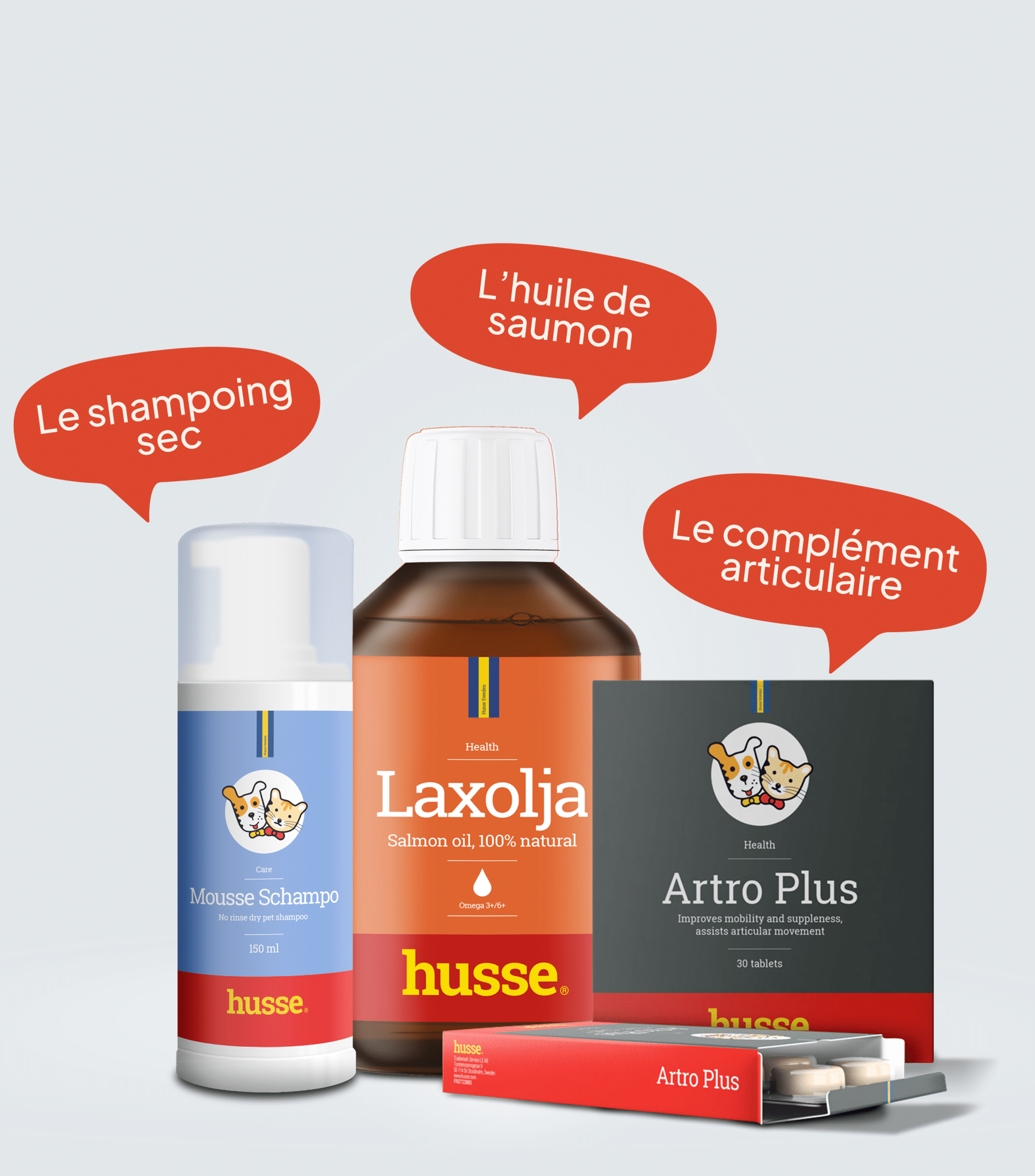 Pack automne chien chat