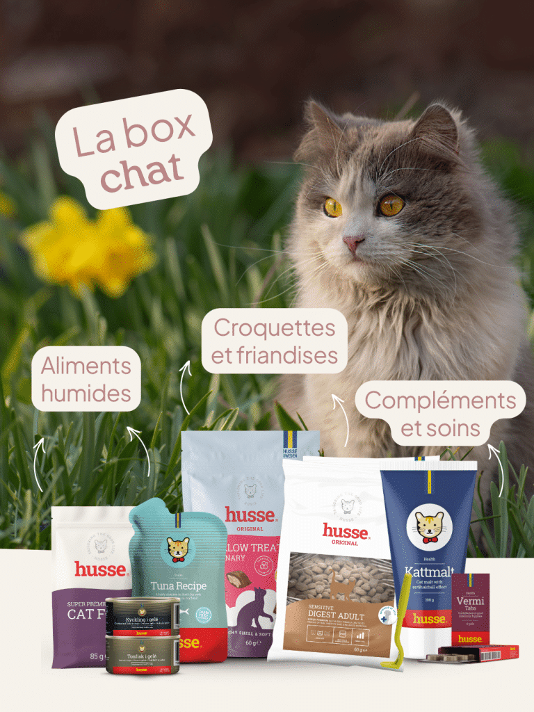 Box chat avec nourriture et soins Husse.