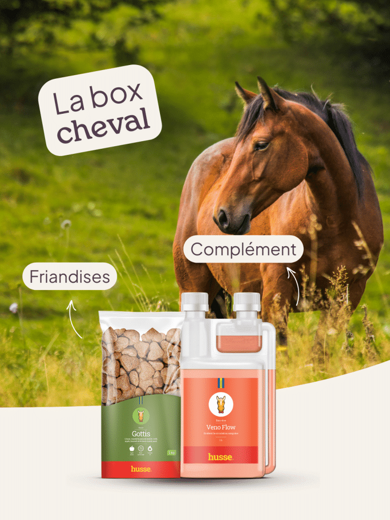Box cheval avec friandises et complément alimentaire