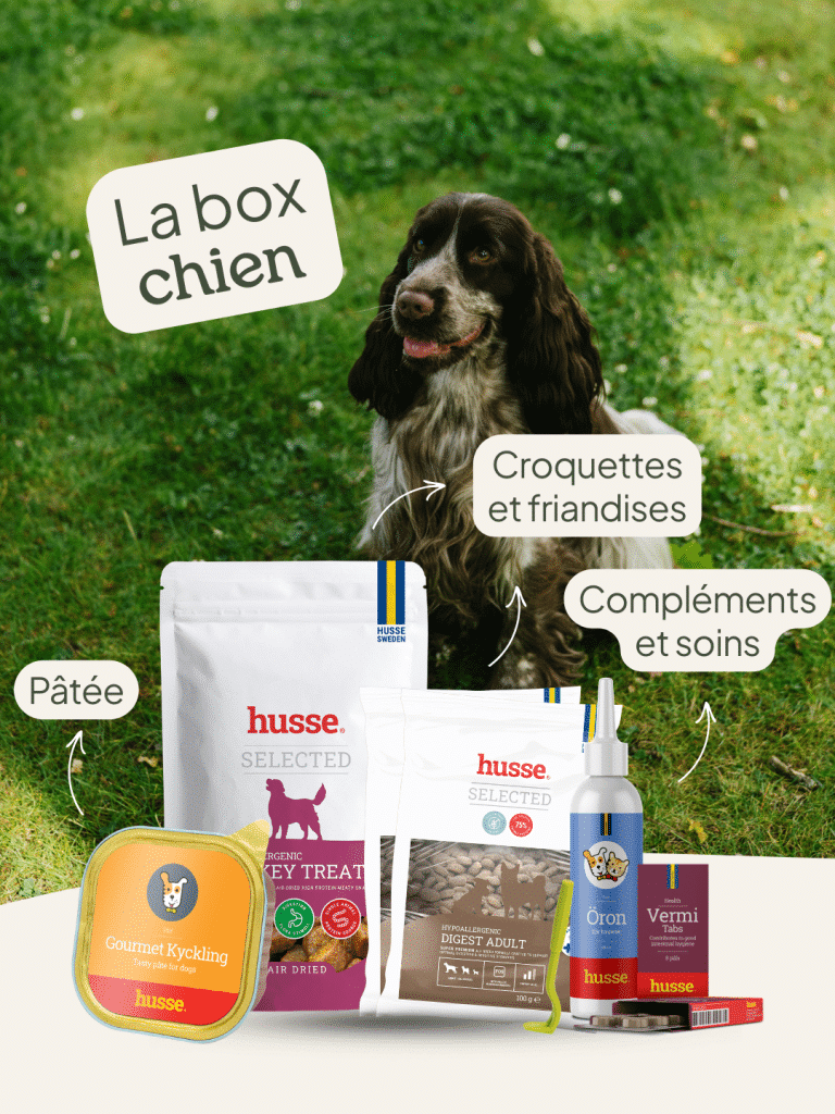 Box chien avec croquettes et soins Husse.