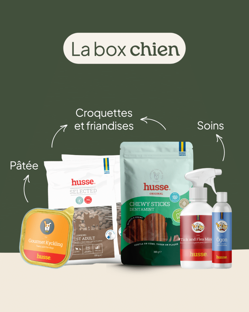 Box pour chien avec croquettes, friandises et soins