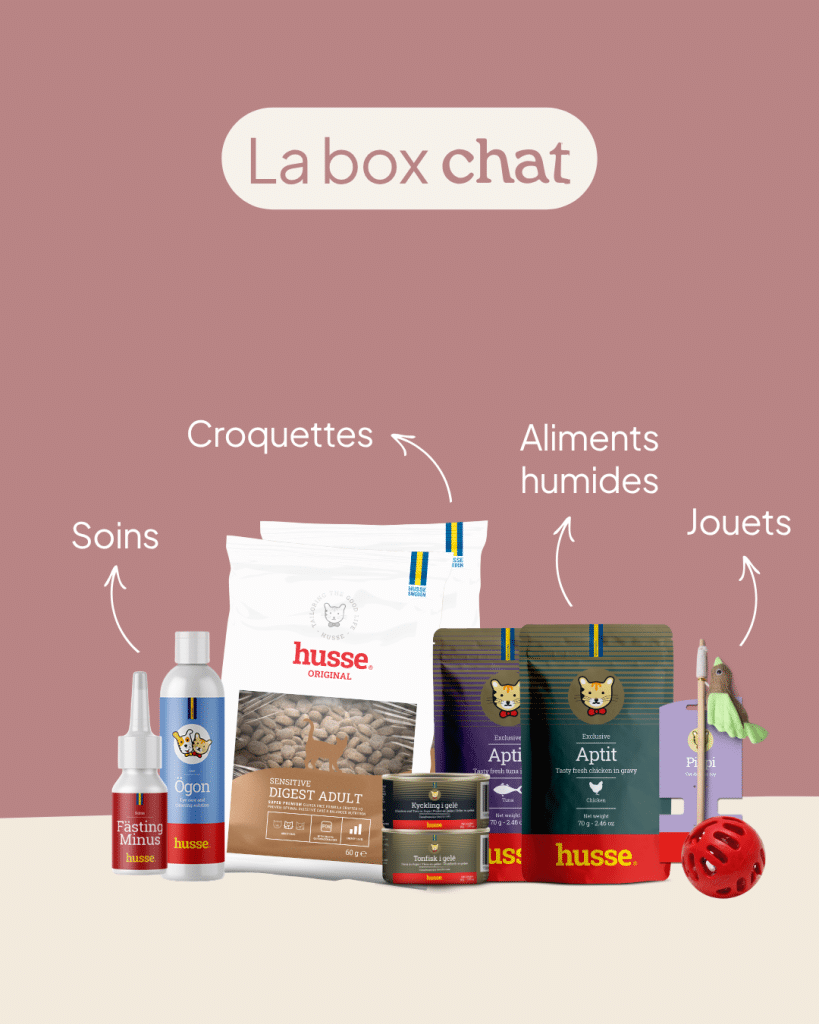 Box chat avec croquettes, soins, jouets et aliments.