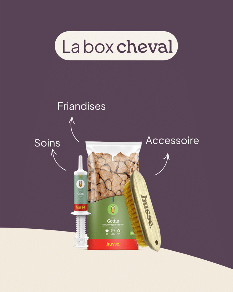 Box cheval avec friandises, soins et accessoire.